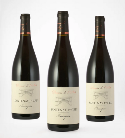 2023 Domaine de l'Aste Santenay 1er Cru Beaurepaire Rouge 